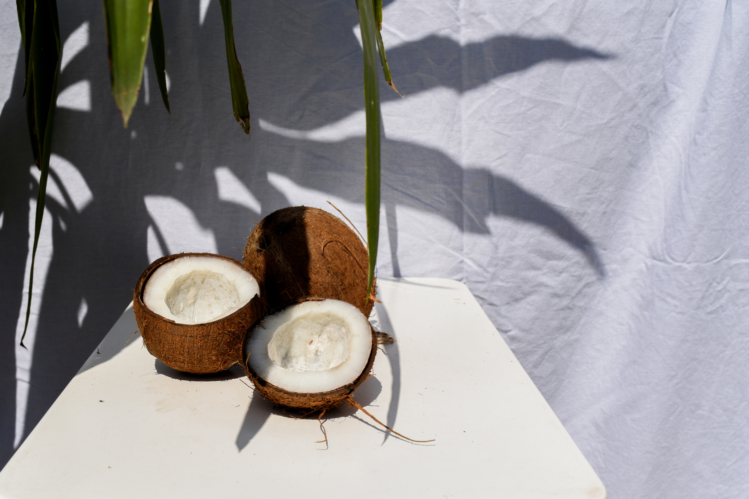 Coconuts sitting on table