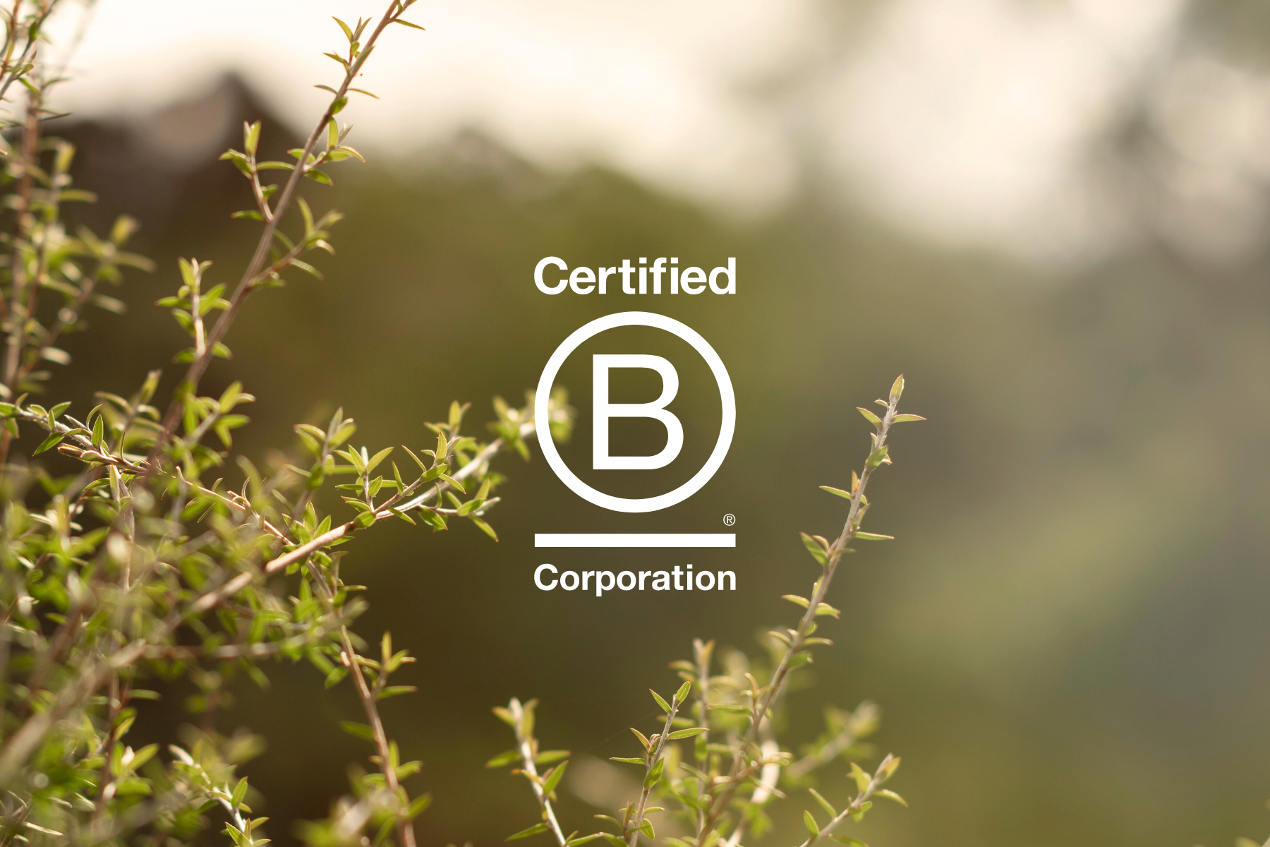 Be good, B Corp™