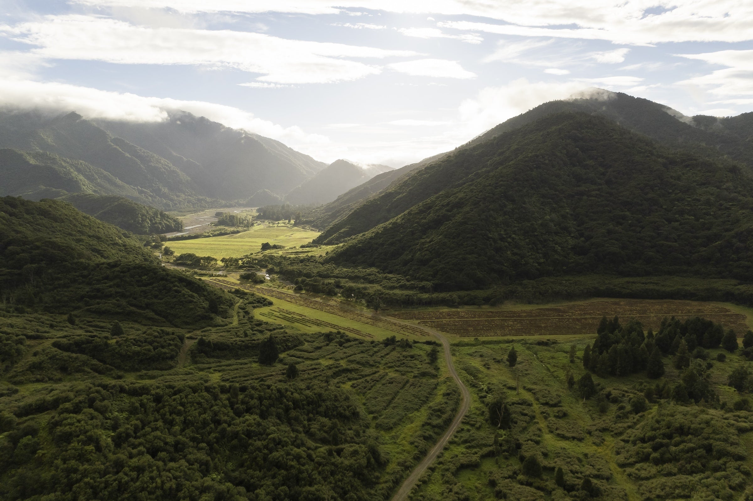 Shop All Natural Skincare Products